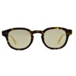 画像1: MOSCOT/モスコット【LEMTOSH】 TORTFL JPN LTD IX 46サイズ (1)